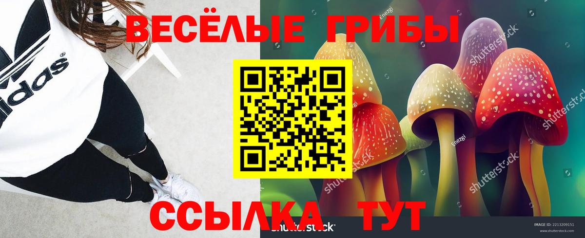 Белорецк  Псилоцибиновые грибы мицелий  Вход с VPN 